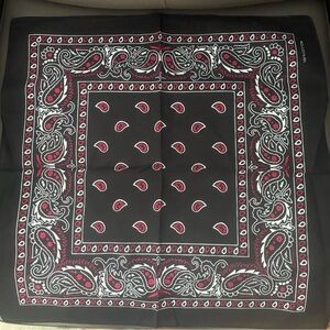 Black and Red Paisley Bandana